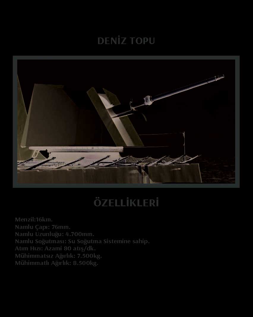DENİZ TOPU