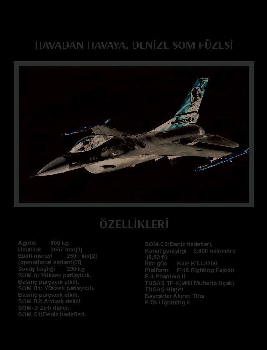 HAVADAN HAVAYA, DENİZE SOM FÜZESİ